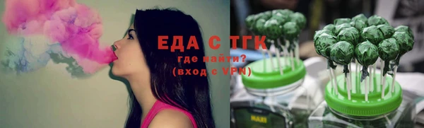 хмурый Алексин