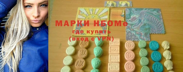 хмурый Алексин