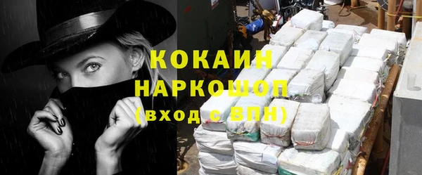 хмурый Алексин
