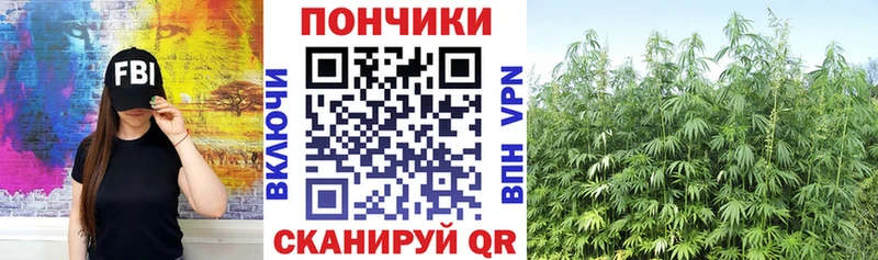 Бошки Шишки индика мега вход Монино цены наркотик